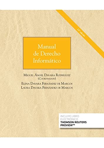 Manual de derecho informático