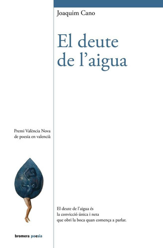 El deute de l'aigua
