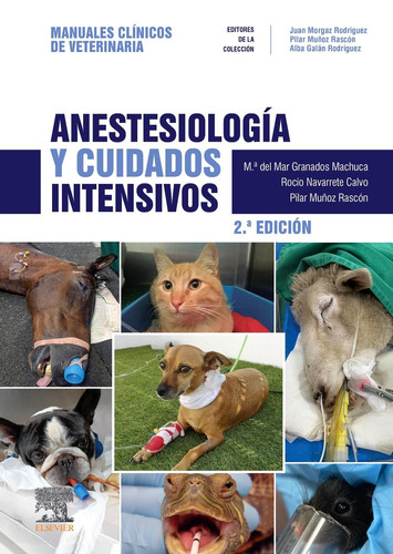Anestesiología y cuidados intensivos: Manuales clínicos de Veterinaria