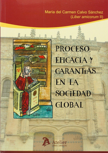 Proceso, eficacia y garantías en la sociedad global Liber Amicorum II [en honor de María del Carmen Calvo Sánchez]