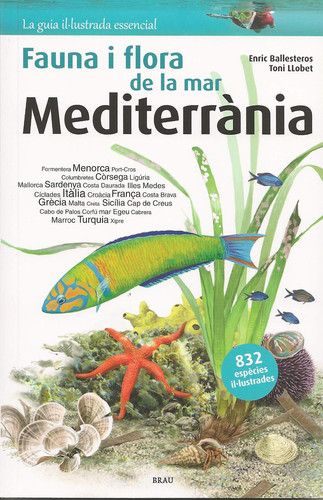 Flora i fauna de la mar Mediterrània