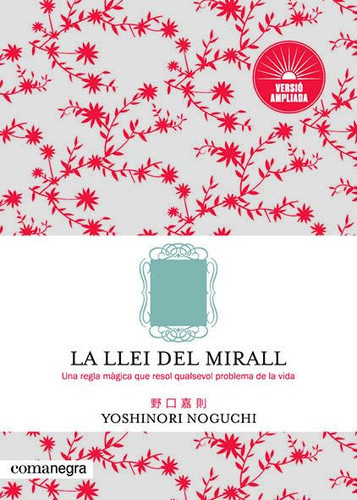 La llei del mirall: una regla màgica que resol qualsevol problema de la vida