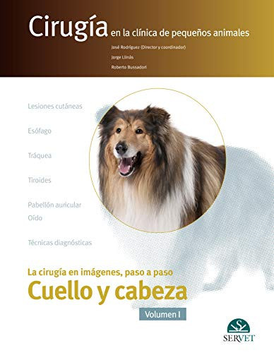 Cuello y cabeza la cirugía en imágenes, paso a paso. Volumen I