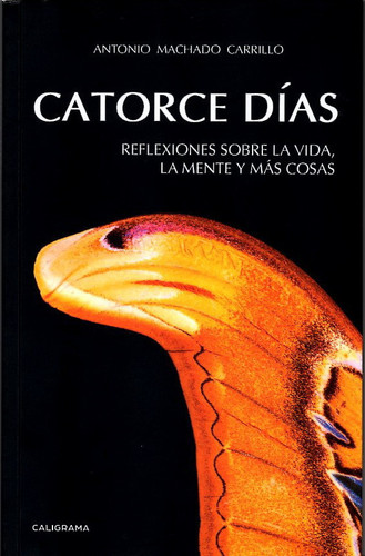 Catorce días: Reflexiones sobre la vida, la mente y más cosas (Spanish Edition)