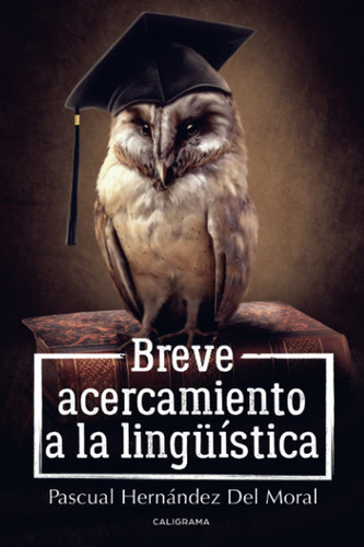 Breve acercamiento a la lingüística (Spanish Edition)