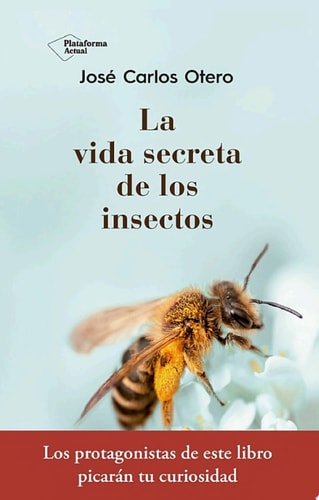 La vida secreta de los insectos