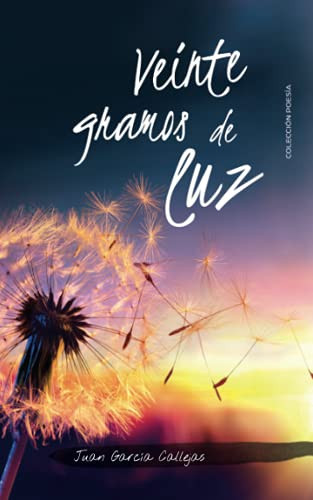Veinte gramos de luz (Spanish Edition)