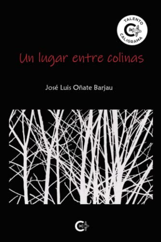 Un lugar entre colinas (Spanish Edition)