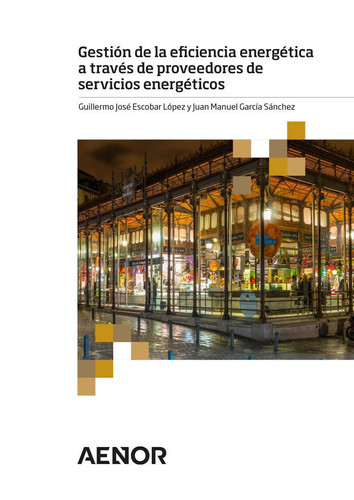 Gestión de la eficiencia energética a través de proveedores de servicios energéticos
