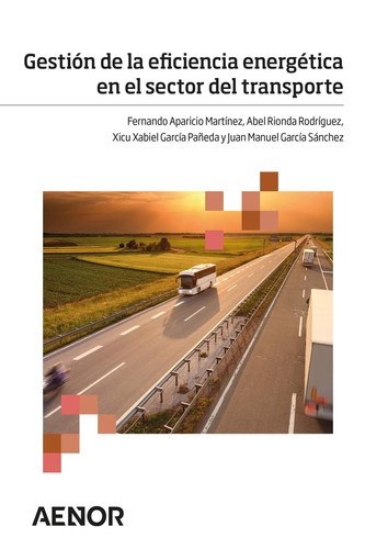 Gestión de la eficiencia energética en el sector del transporte (Spanish Edition)