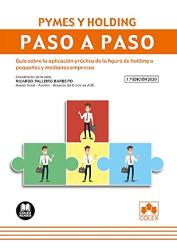 Pymes y holding guía sobre la aplicación práctica de la figura de holding a pequeñas y medianas empresas
