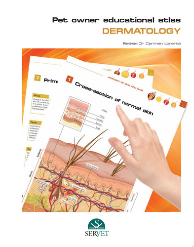 Pet Owner Educational Atlas. Dermatology