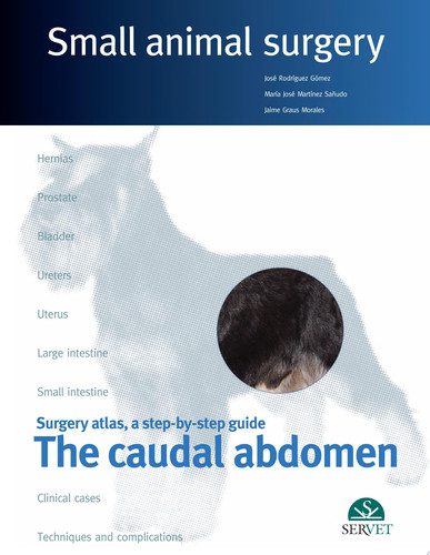 The caudal abdomen. Small animal surgery