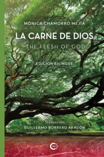 La carne de Dios: The flesh of God (Spanish Edition)