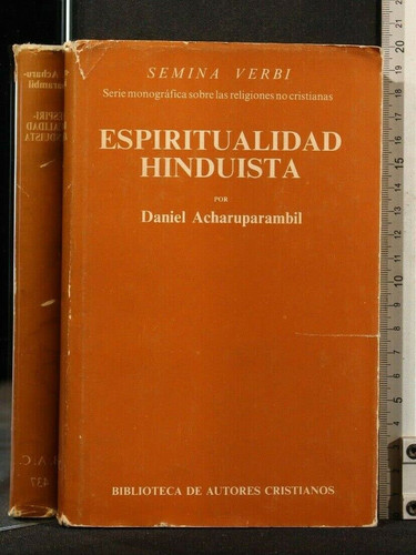 Espiritualidad hinduista