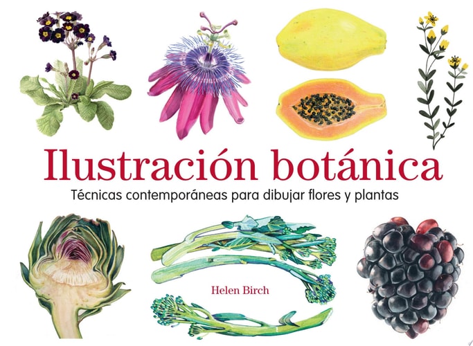 Ilustración botánica Técnicas contemporáneas para dibujar flores y plantas