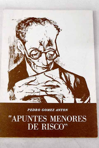 Apuntes menores de Risco (hacia una imagen de D. Vicente)