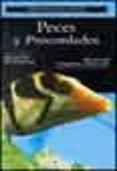 Los Discos (Spanish Edition)