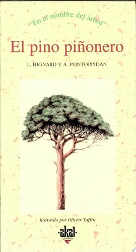 El pino piñonero