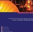 GESTION DE LA PREVENCION EN RIESGOS LABORALES APLICADA A CENTRALE S TERMOELECTRICAS