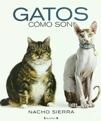GATOS. COMO SON