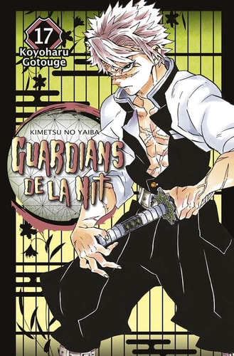 GUARDIANS DE LA NIT 17
