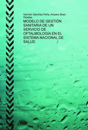 MODELO DE GESTIÓN SANITARIA DE UN SERVICIO DE OFTALMOLOGÍA EN EL SISTEMA NACIONAL DE SALUD (Spanish Edition)