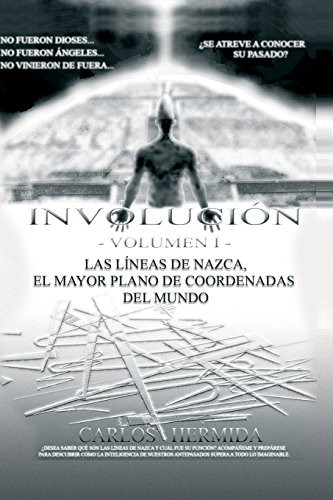 Involución Las líneas de Nazca, el mayor plano de coordenadas del mundo.