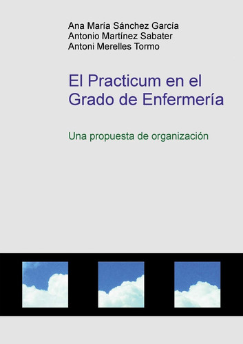 El Practicum en el Grado de Enfermería (Spanish Edition)