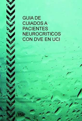 GUIA DE CUIADOS A PACIENTES NEUROCRITICOS CON DVE EN UCI (Spanish Edition)