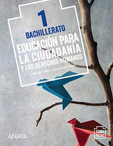 Educación para la ciudadanía y los derechos humanos, 1 Bachillerato
