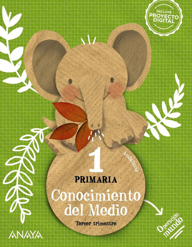Conocimiento del Medio, 1 Primaria, Andalucía, Operación mundo
