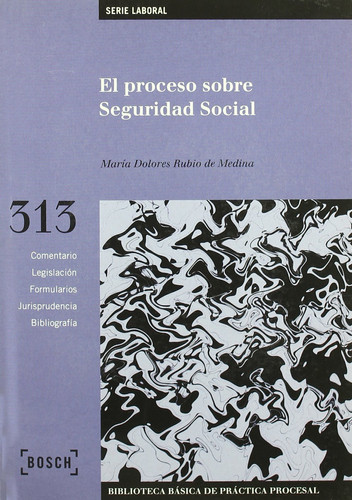 El proceso sobre seguridad social