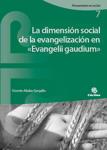 La dimensión social de la evangelización en "Evangelii gaudium"