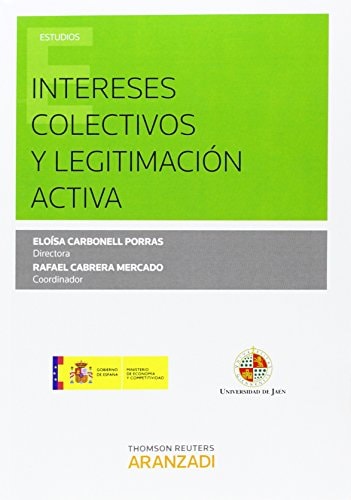 Intereses colectivos y legitimación activa