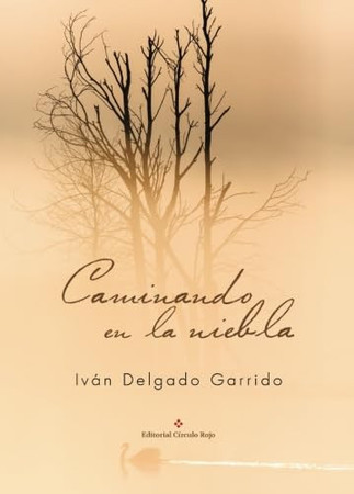 Caminando en la niebla