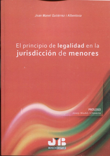 El principio de legalidad en la jurisdicción de menores