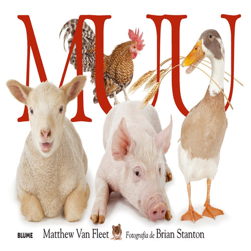 Muu (catalan)