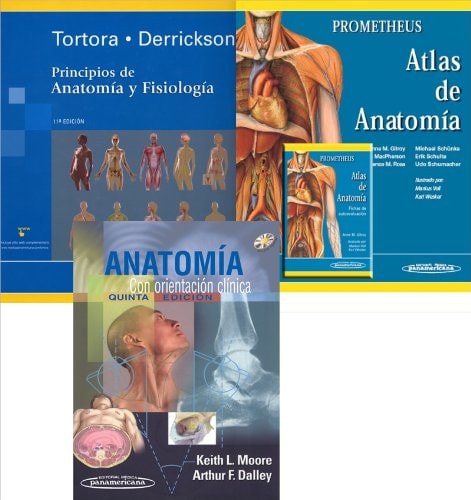 Packs: Atlas de Anatomía Humana