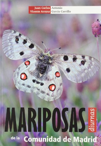 Mariposas diurnas de la comunidad de Madrid