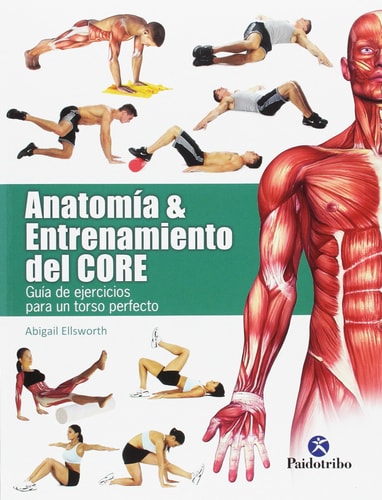 Anatomía & entrenamiento del core guía de ejercicios para un torso perfecto