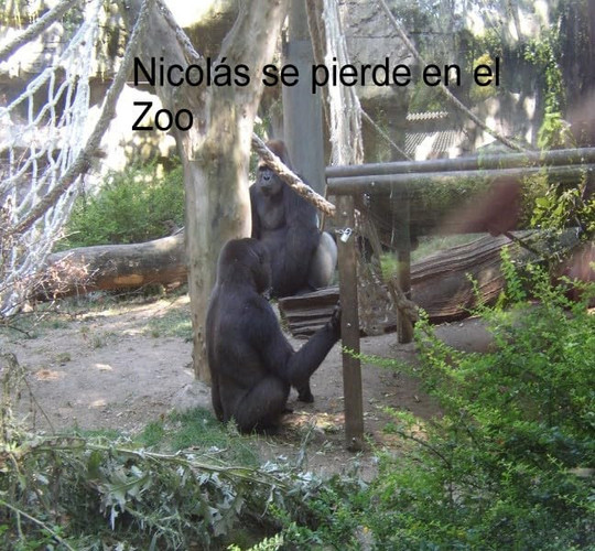 Nicolás se pierde en el Zoo (Spanish Edition)