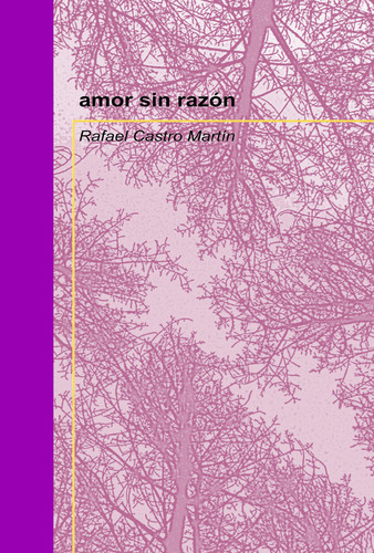 amor sin razón (Spanish Edition)
