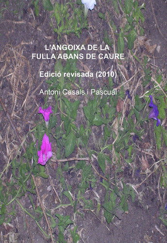 L'ANGOIXA DE LA FULLA ABANS DE CAURE (Catalan Edition)