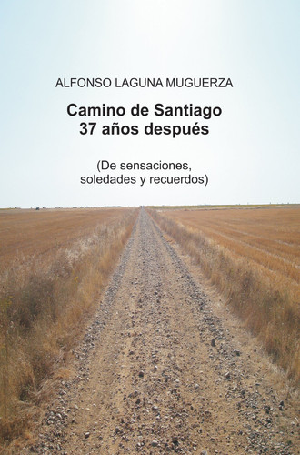 Camino de Santiago 37 años después (Spanish Edition)