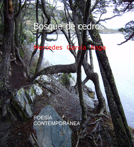 Bosque de cedros
