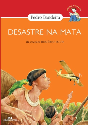 Desastre na mata