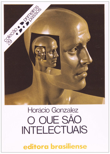 O QUE SAO INTELECTUAIS