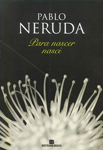 Para que nasci? um estudo sobre as motivações da criança na idade escolar