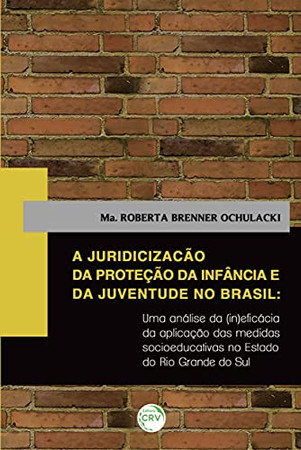 A juridicização da proteção da infância e da juventude no Brasil: uma análise da (in)eficácia da aplicação das medidas socioeducativas no estado do Rio Grande do Sul